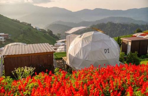 Mae Rim Hotel | Mon Mon Homestay