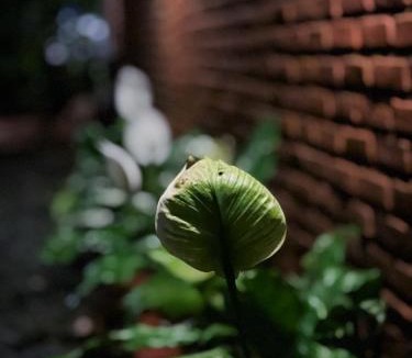Ban Lung House | Moon Ratanak