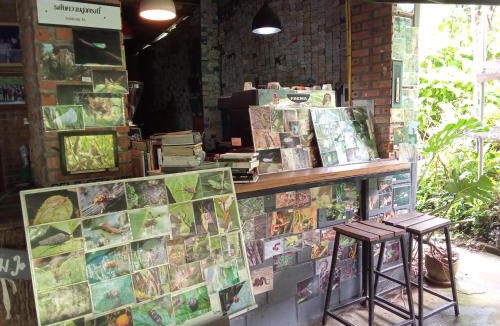 Chom Thong House | Mr Deang shop Doi Inthanon bird center