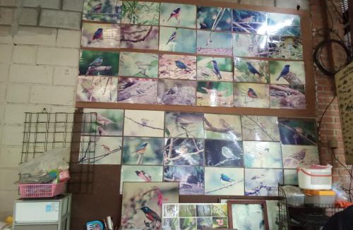 Chom Thong House | Mr Deang shop Doi Inthanon bird center