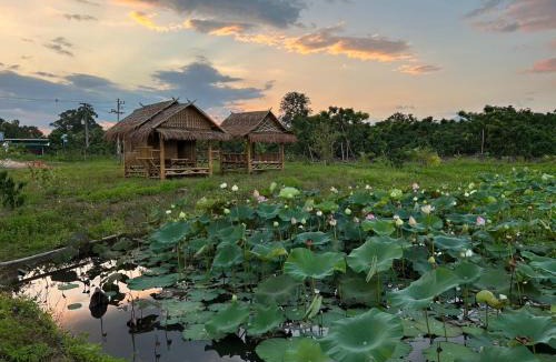 Mae Taeng House | Northern Orchid คุ้มเอื้องเหนือรีสอร์ท