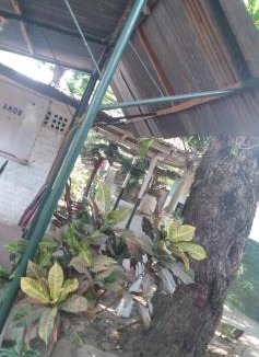 Altagracia House | Ortiz Hospedaje Ometepe