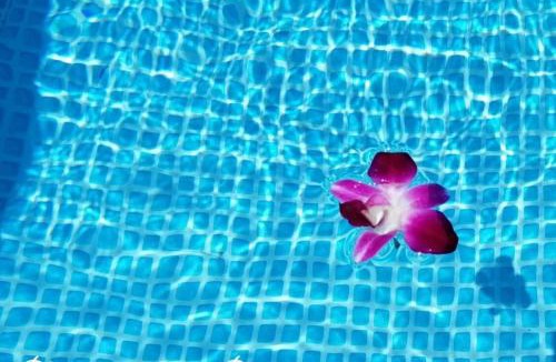 Srithanu Resort | Phangan Cove Beach Resort