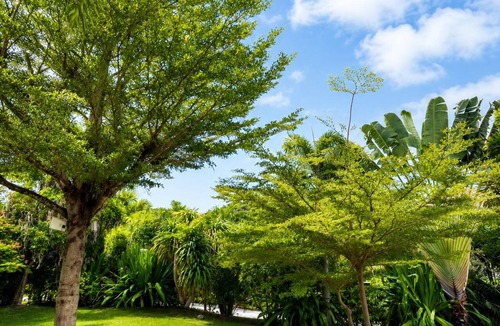 Khao Tao House | Private 3-Bed Villa · Huge 860m² Garden · Mountain View · Gated · Long Stays