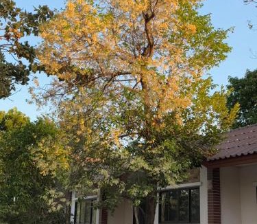 Nakhon Ratchasima Resort | Rommai Plaitawan Resort