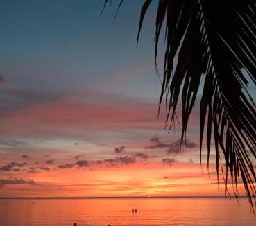 Haad Yao Resort | Seaboard Bungalow