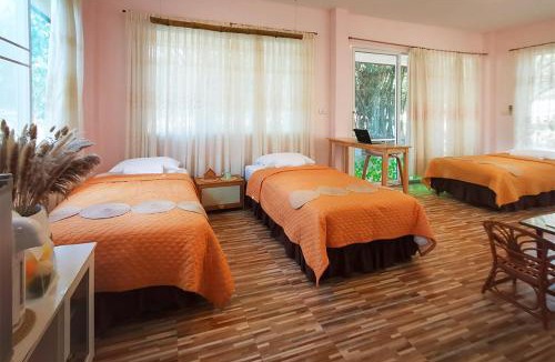 Songkhla House | SN Garden