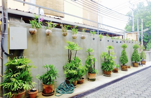 Sri Phum Apartment | Standard Room in Chiangmai