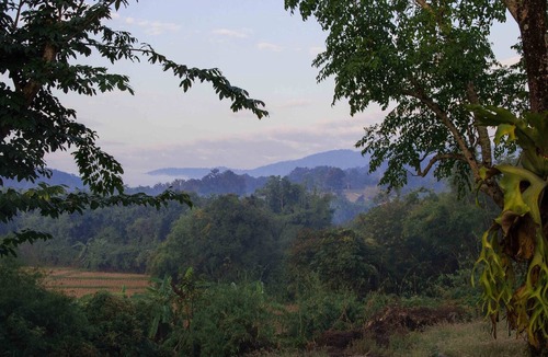 Nang Lae Bed & Breakfast | Stay stylish near Black House Museum