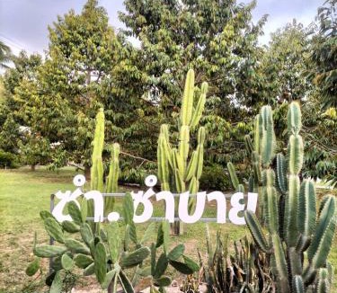 Wang Thong House | Sum sumbuy Homestay