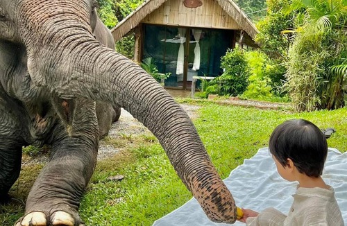 Mae Wang Cabin | The Elephant B&B