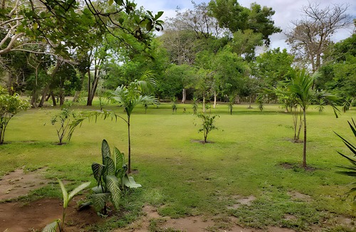 Diriomo Villa | "Verdant's haven" Massages, Views, Fiber. A/C, housekeepingnVilla Marcella