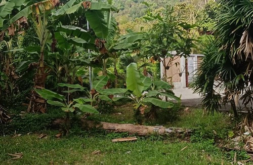 Kamala Villa | Villa au Pied de la Forêt Dans 1 Grand Jardin 5mn d une Magnifique Plage