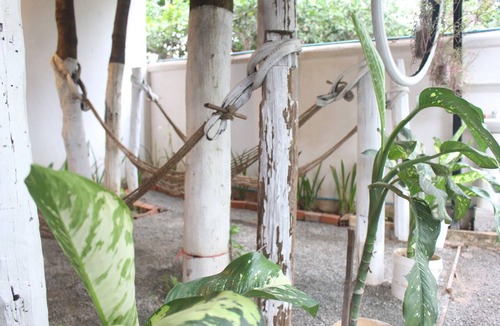 Siem Reap House | Welcome to Eco-Home Siem Reap