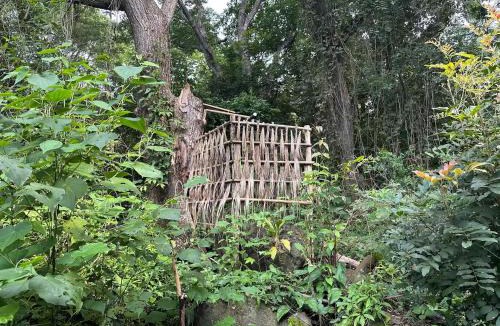 Santa Cruz House | Writer's Cabin