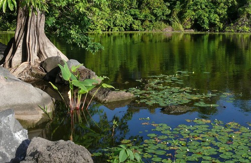 Granada Hotel | Zopango Orchids Island