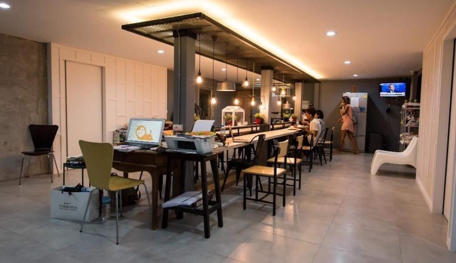4 Bedroom MonkeyNap Hostel