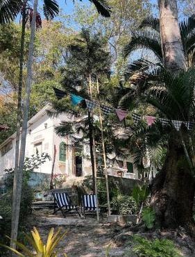 Benny Jungle home