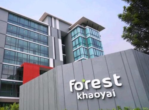 Bird's nest forest khaoyai