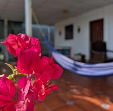 Casa Liz in Managua