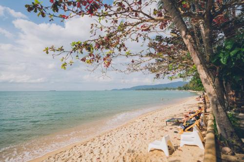 Chill Inn Lipa Noi Hostel and Beach Cafe in Koh Samui