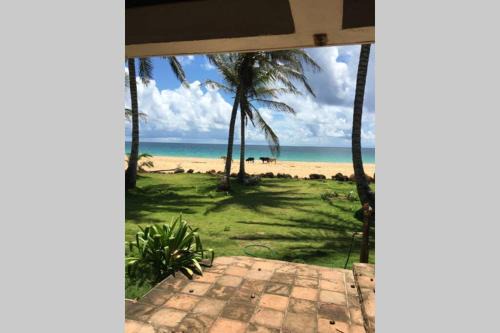 Coconut Castle at La Lodge at Long Bay in Big Corn Island