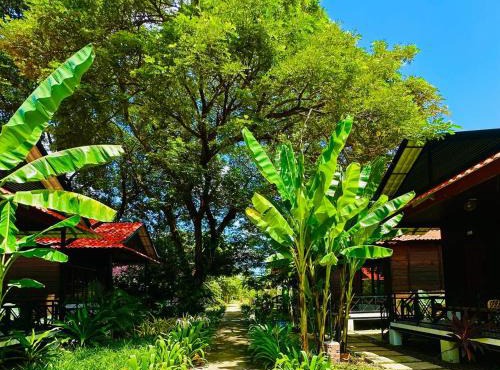 Densy Holiday Homestay in Siem Reap