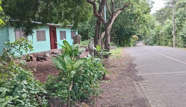 El Madroño in Santa Cruz