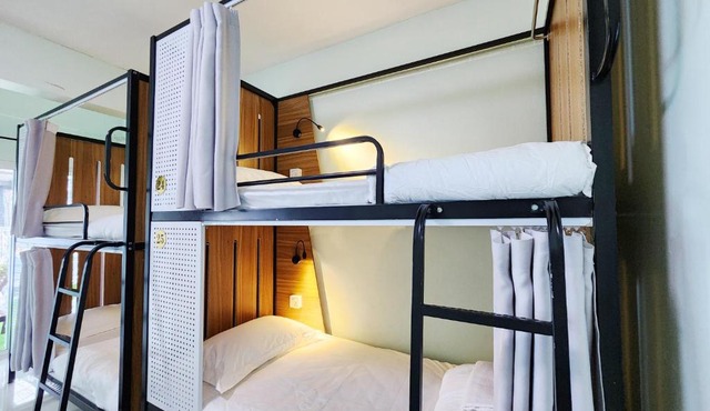 Forest Freedom Hostel