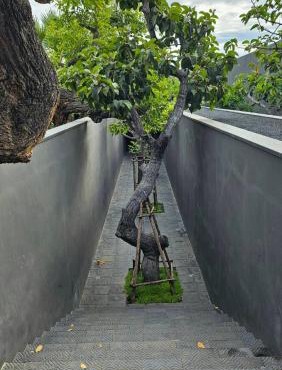 inchantreemeedao in Ban Chuk Kum