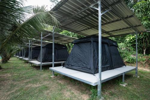 Mellow Camp kohkood