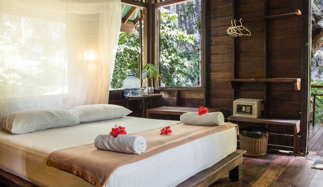 Our Jungle House