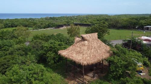 Palapa in El Tránsito