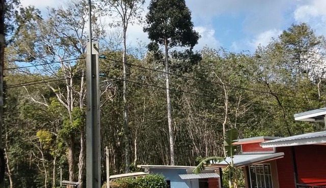 Peace Nature House in Ko Lanta Yai