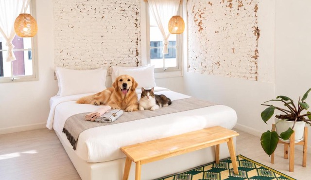 Pet Friendly Luna & Local Oldtown Bangkok in Bangkok