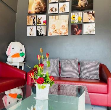 Rabbitel Phuket in Phuket