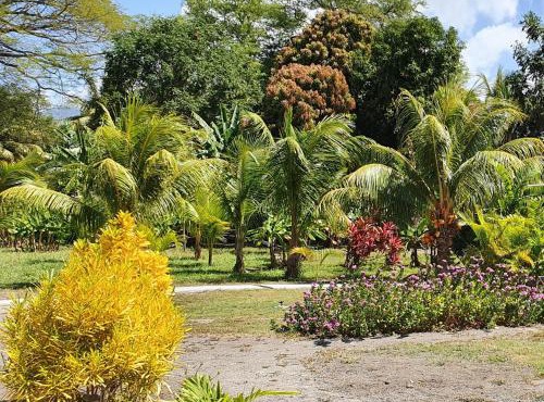 Rancho Tranquillo in Moyogalpa