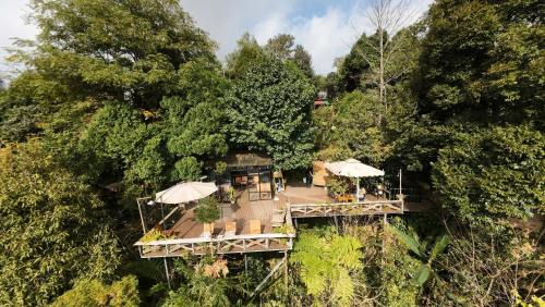Sapa Jungle Homestay in Sa Pa