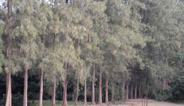 Suanrimtarn Suanphung in Suan Phueng