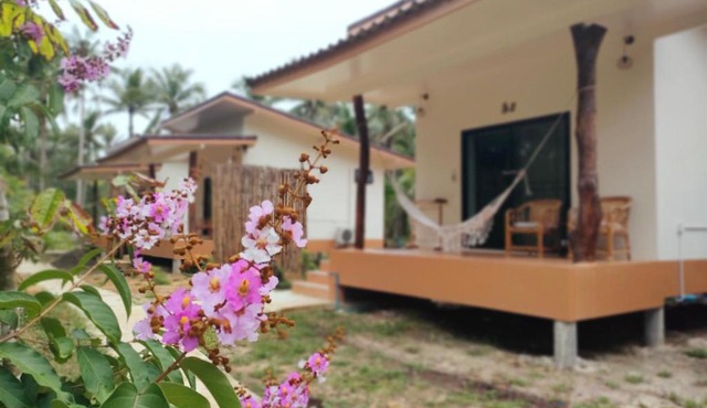 Suanthara kokut