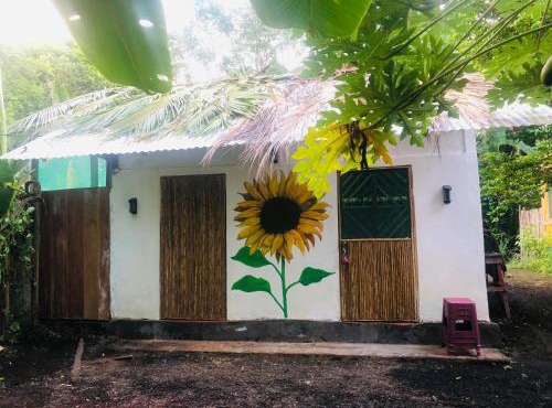 Sunflower Cottage near Ojo de Agua in Las Pilas