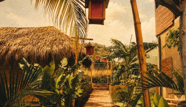 Tipsy Gypsy Bar & Hotel in Tola
