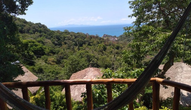 Tree House Bungalows Koh Tao