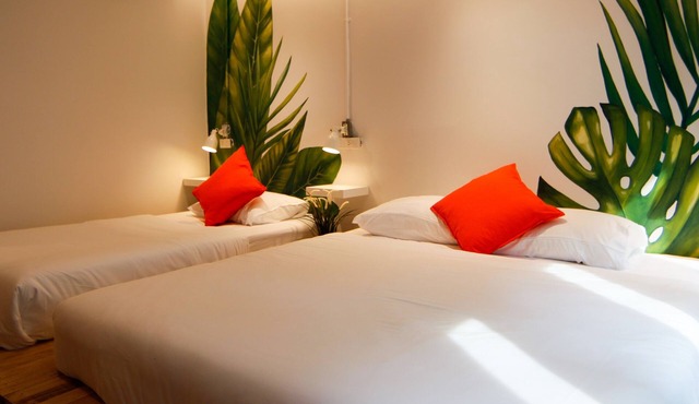 Tropical Summer Hostel