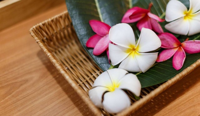 U Tiny Boutique Hotel Suvarnabhumi Bangkok
