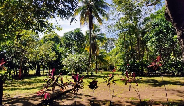 Verdant's haven. Fully equipped modern villanAC, opt.fiber, amazing surroundings in Diriomo