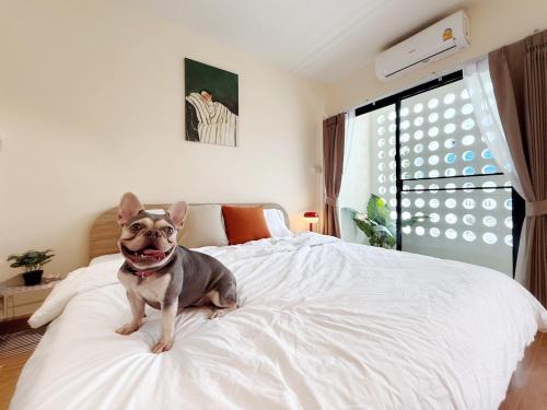 Chom Phon Apartment | TownHouse near Central Ladprao with bathtub