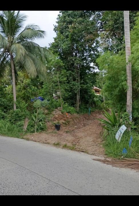 Haad Yao House | Unicorn Cottage, Tracy island, Had Yao Bay