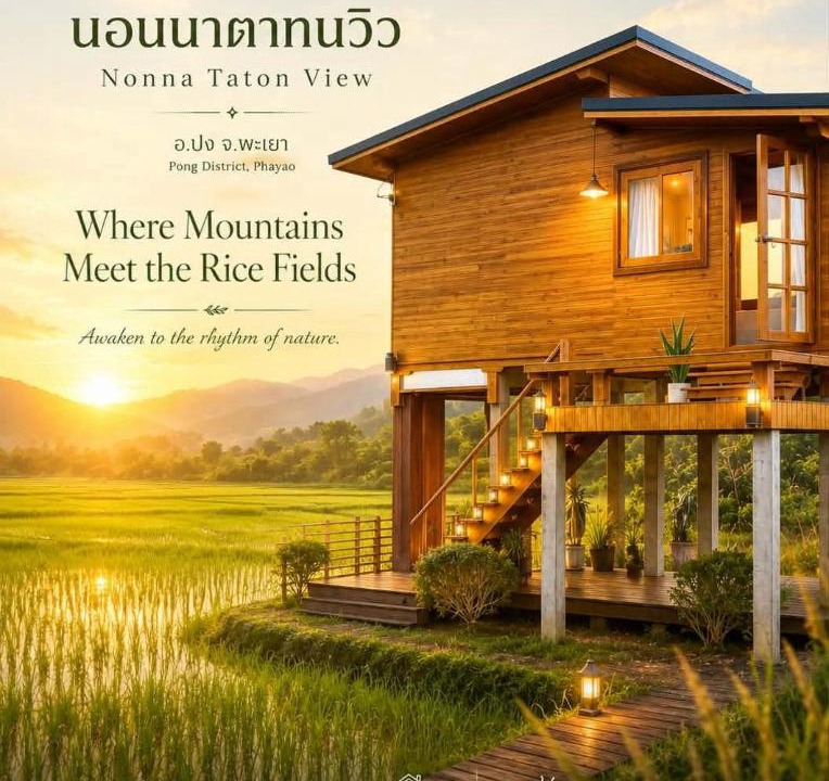 Pong House | Nonnatatonview นอนนาตาทนวิว