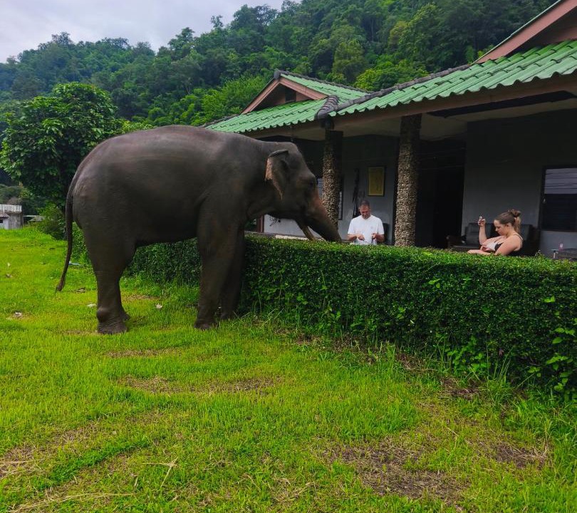 Mae Taeng Villa | ดอยล้อมฟาร์มสเตย์
